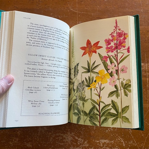Houghton Mifflin Teal Cloth How to Know the Wild Flowers 1989 Hardcover OS - Picture 12 of 14